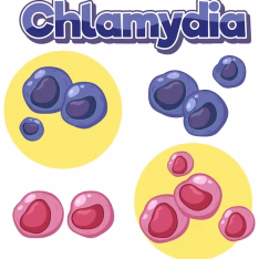 Chlamydia NAAT Confirmatory Test
